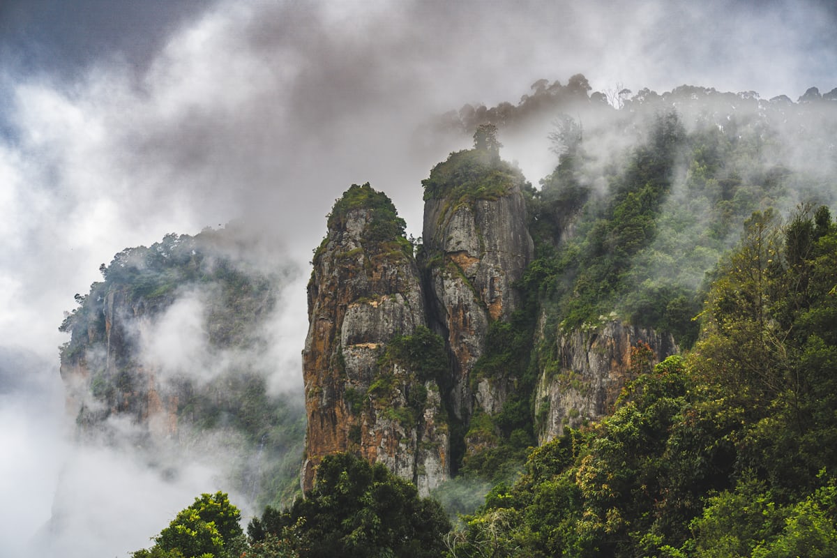 Kodaikanal Travel Guide: Misty Lake, Pine Forests and Romantic Views — Thambi Tours blog