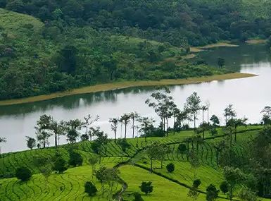 Munnar Vagamon Kerala Tour Package — India tour package