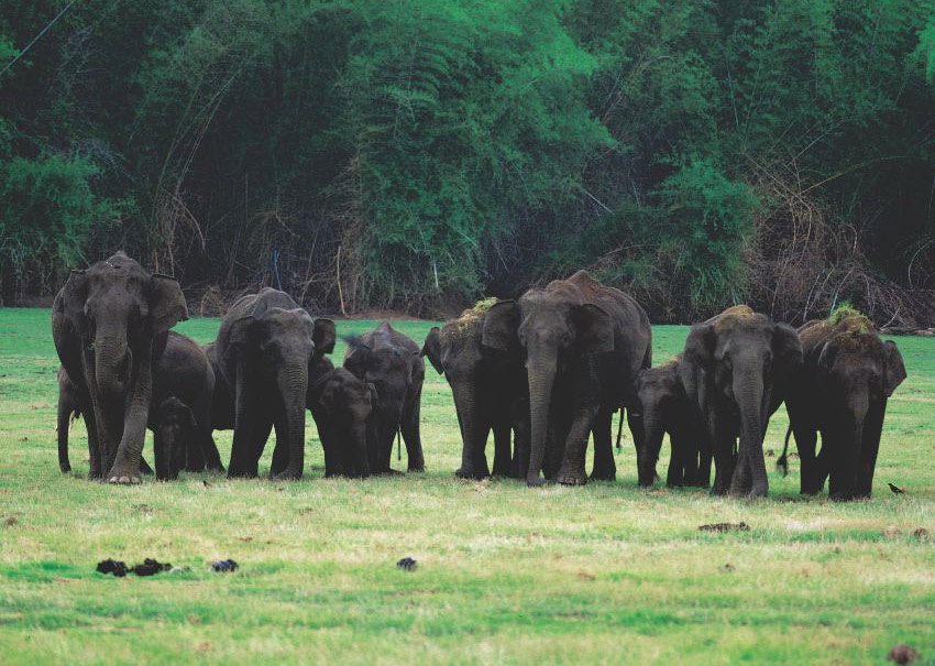 Authentic South India Homestay Experience - tour package